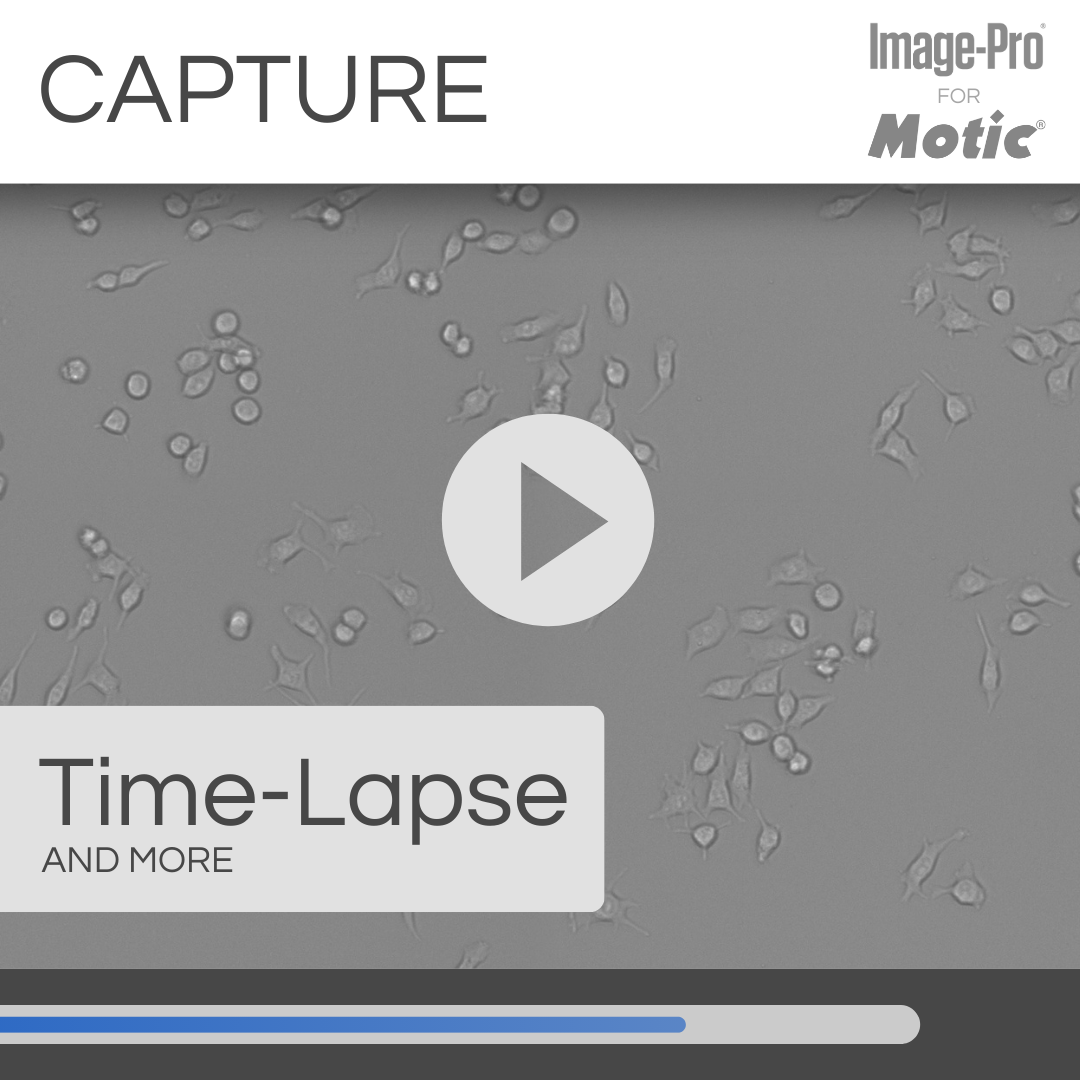 AE31E-Phase &amp; Image-Pro® Analysis Package