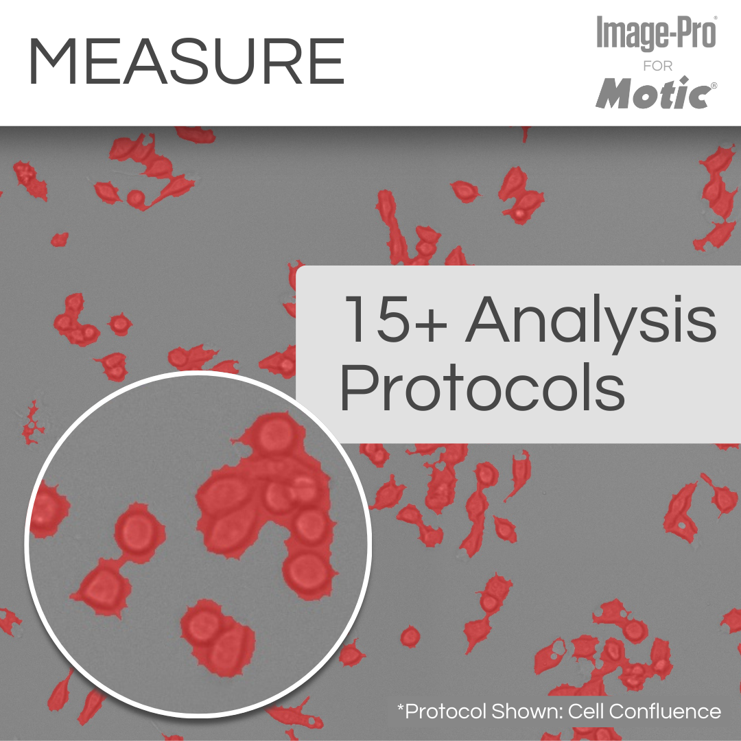 AE31E-Phase &amp; Image-Pro® Analysis Package