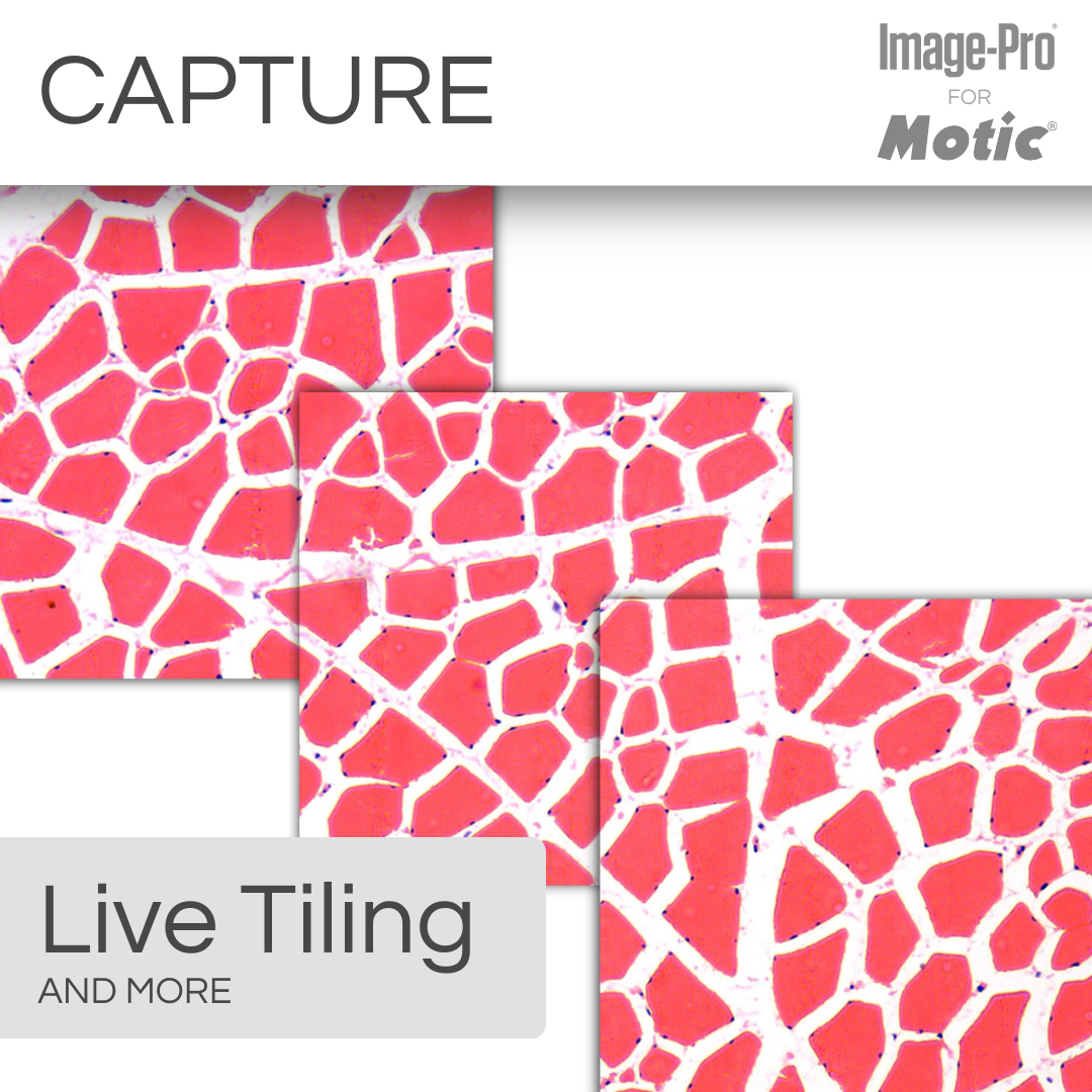 PA43BIO &amp; Image-Pro® Analysis Package