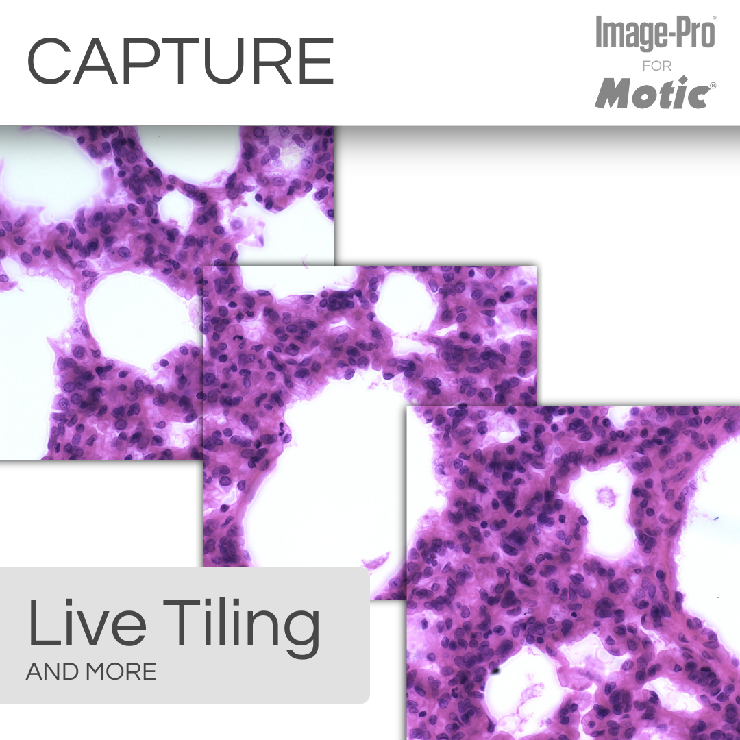 PA43-Clinical &amp; Image-Pro® Analysis Package