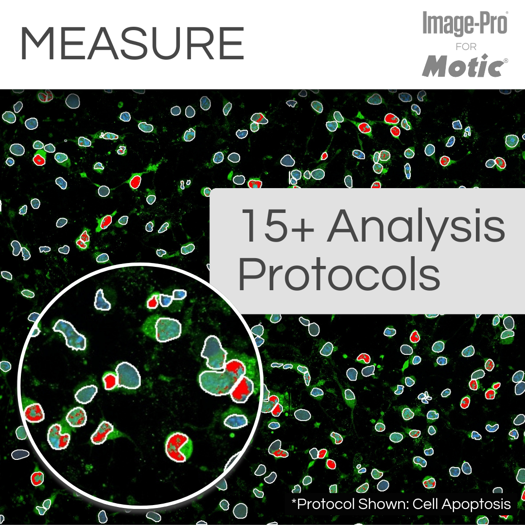 PA53-FL &amp; Image-Pro® Analysis Package