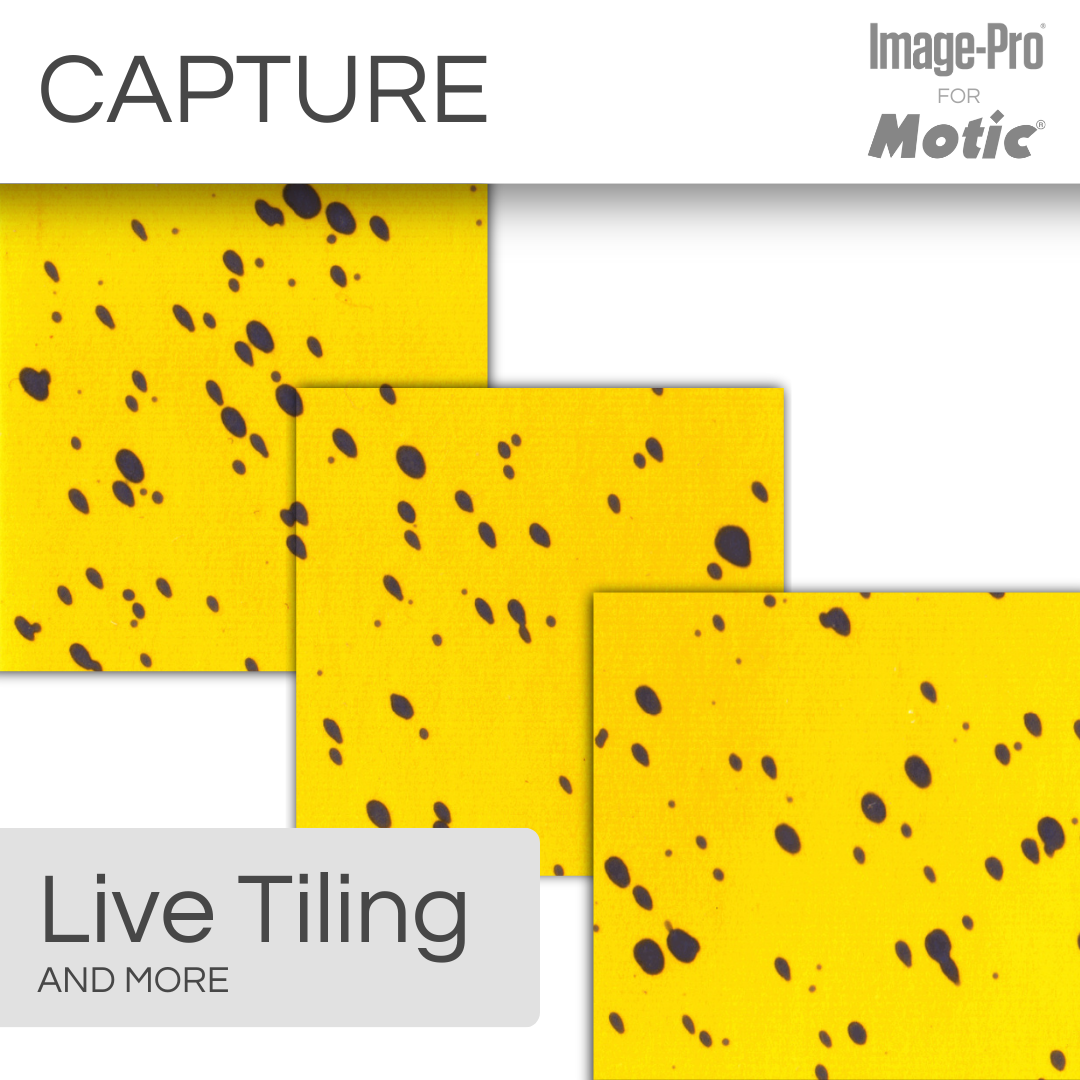 PX43-MET &amp; Image-Pro® Analysis Package
