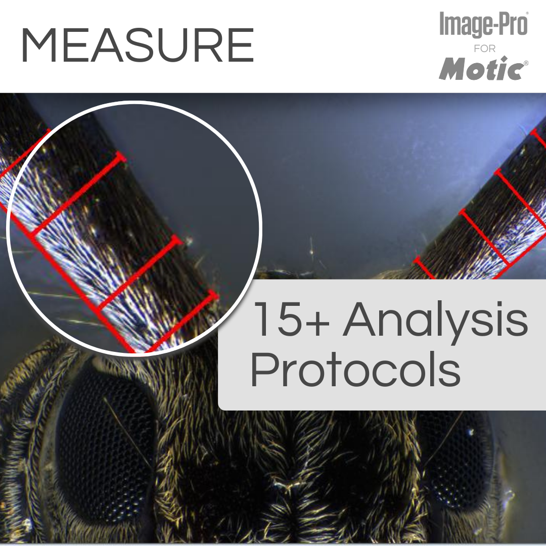 SM7-BIO &amp; Image-Pro® Analysis Package