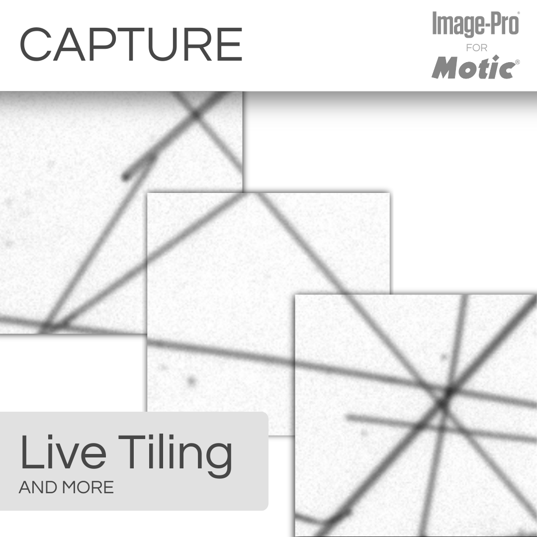 Panthera TEC POL &amp; Image-Pro® Analysis Package